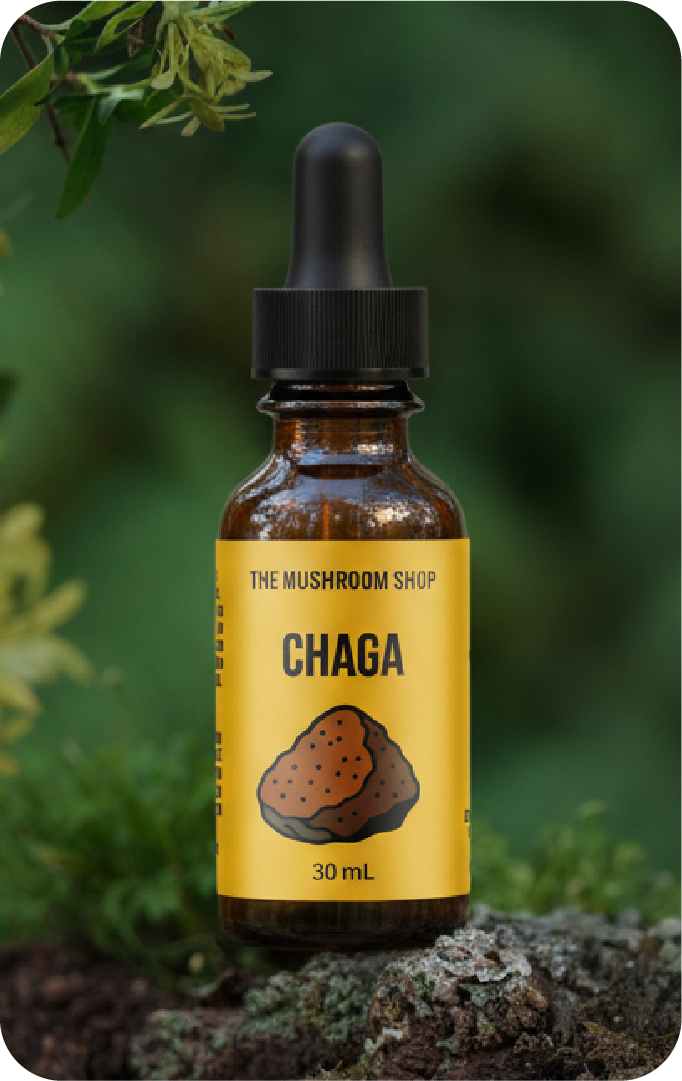 EXTRATO DE CHAGA 30 mL