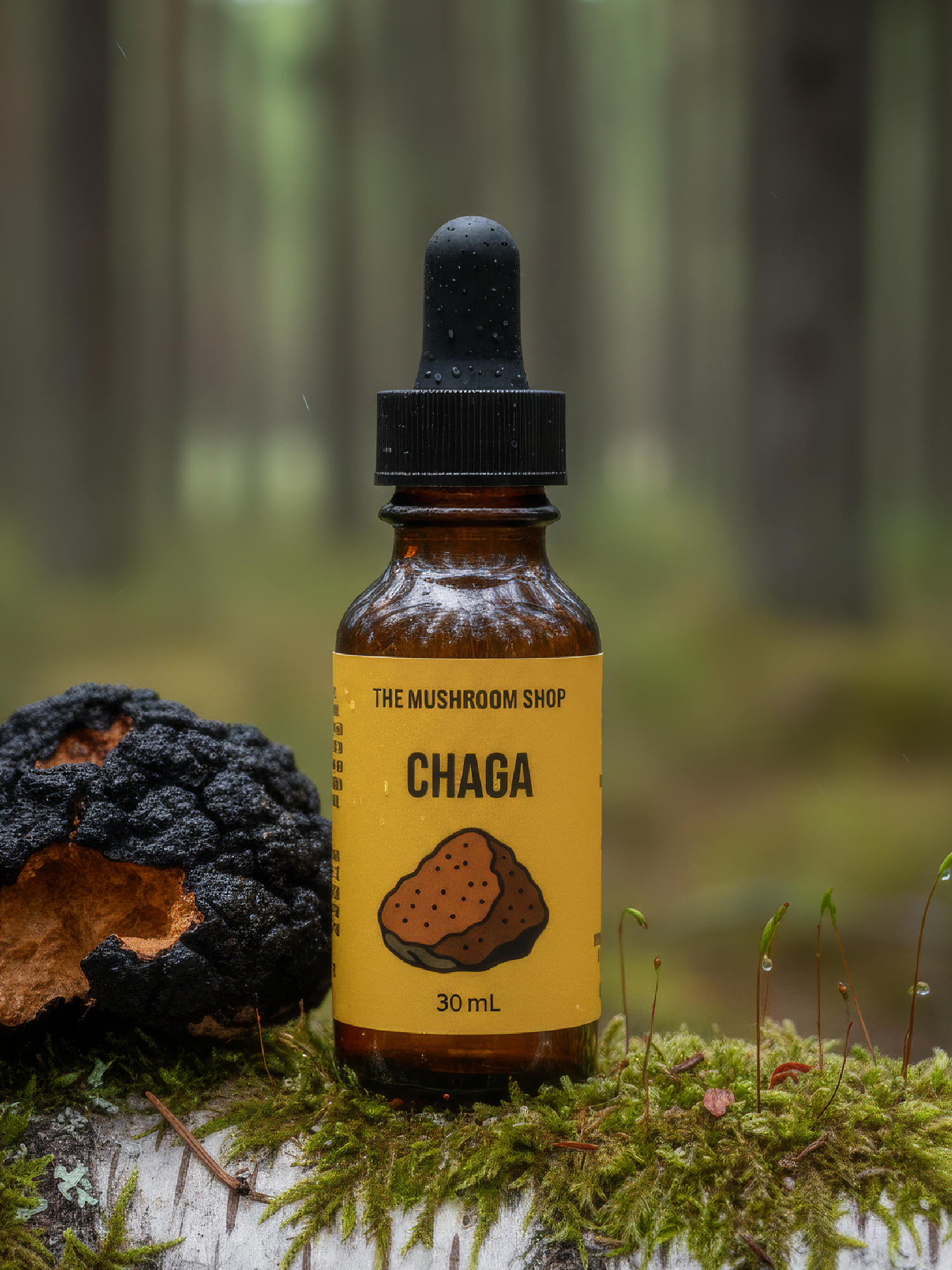 EXTRATO DE CHAGA