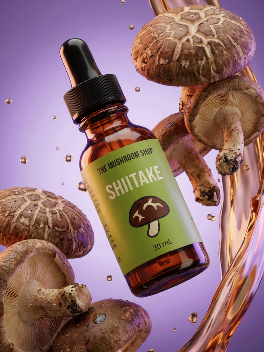 EXTRATO DE SHIITAKE